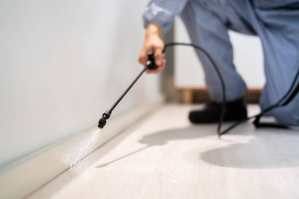 Best Flea Control Services  in Camano, WA