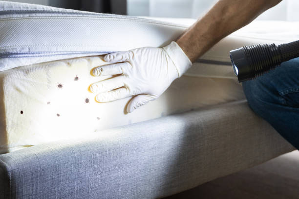 Best Insect Control  in Camano, WA